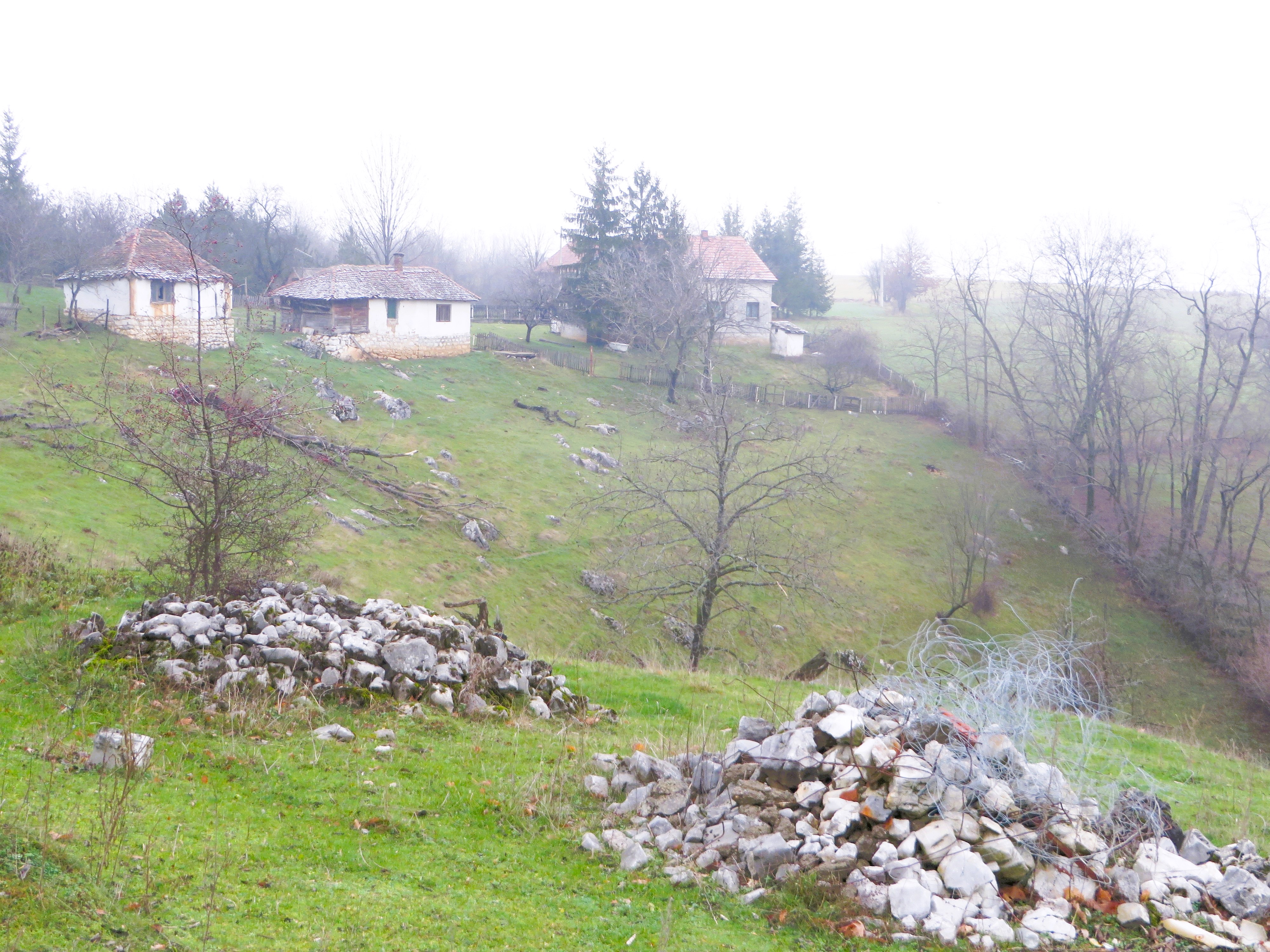 MAGLJEŠ